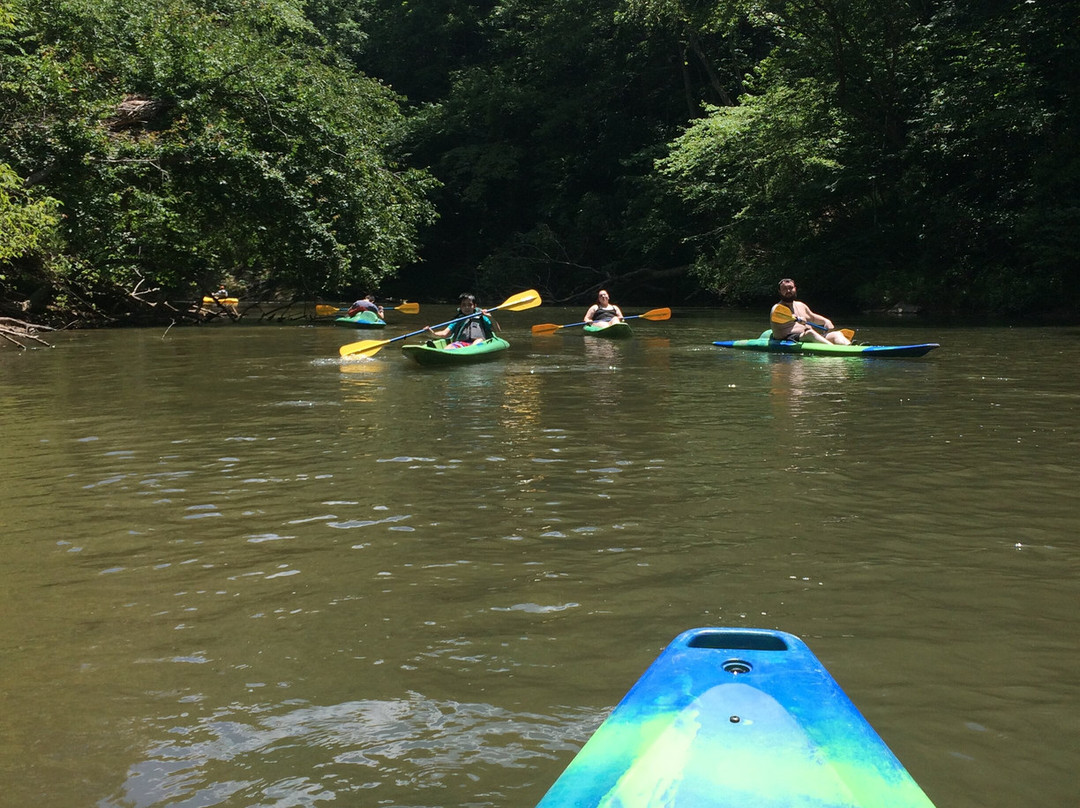 Chestatee River Adventures-达洛尼加必去景点