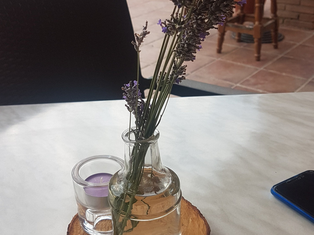 Complejo Rural Las Lomas De Biar主图