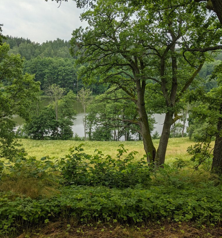 Dubingiai Castle-Dubingiai必去景点