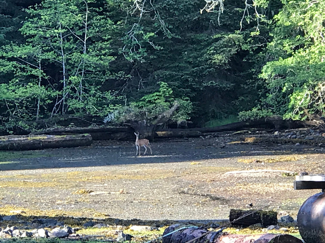 Hidden Cove Lodge主图