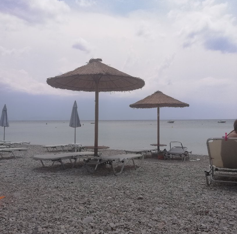 Skiron Studios主图