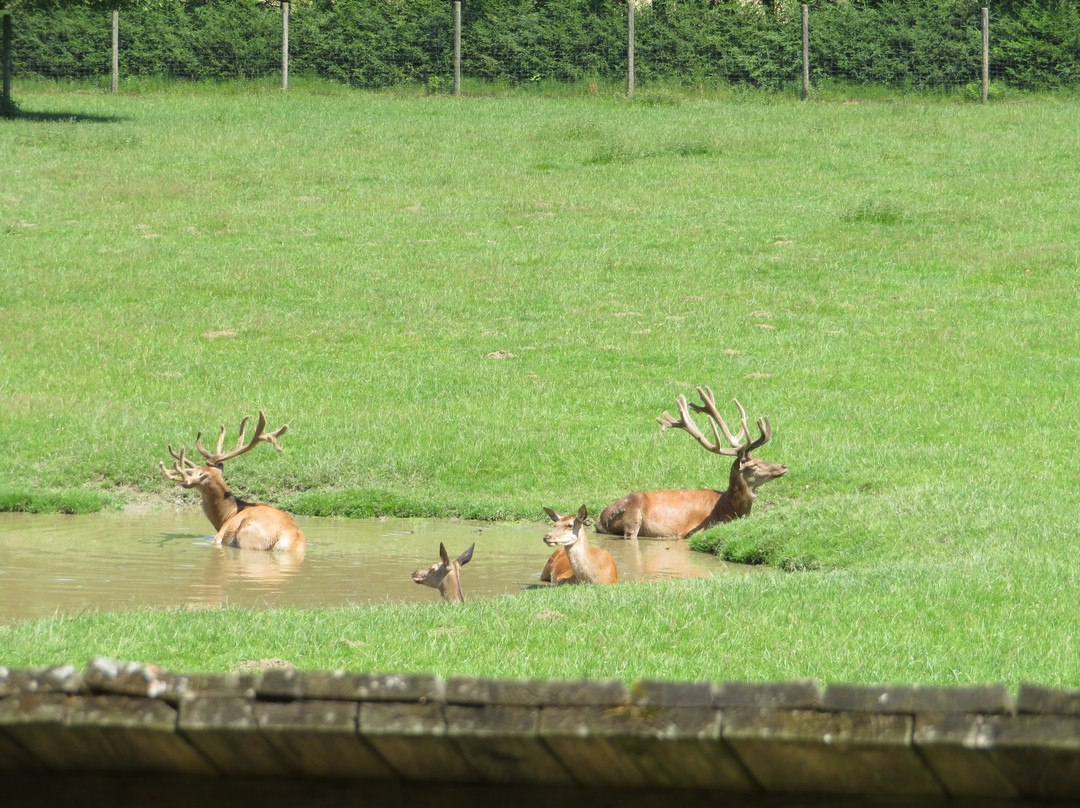 Tierpark Rosegg-Rosegg必去景点