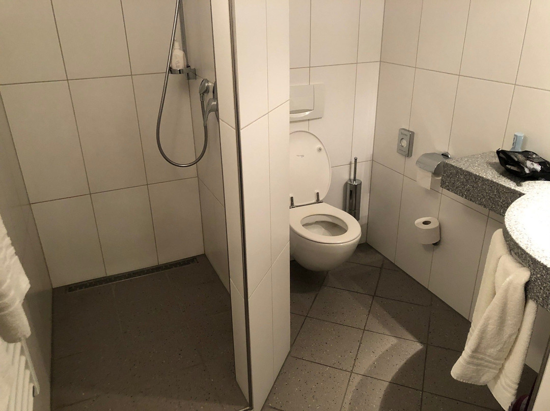 Arthotel Ingolstadt主图