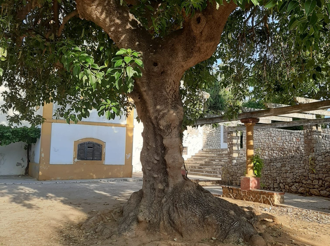 Torrecremada Park-德尼亚必去景点