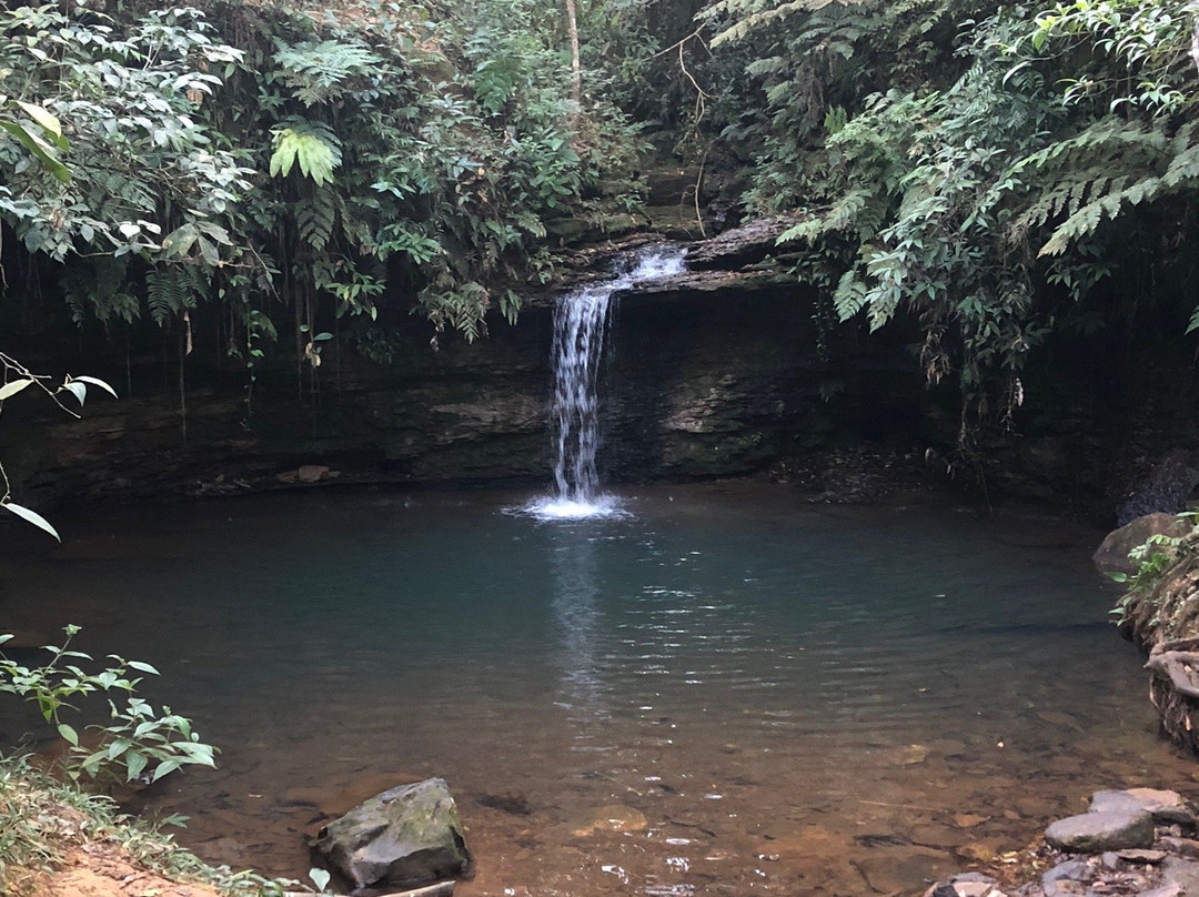 Cachoeira do Nhonho景点图片