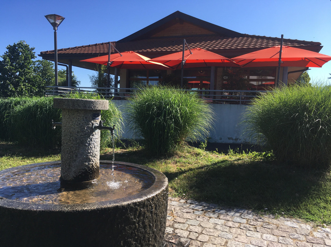 Saxel餐馆和美食-Les Terrasses