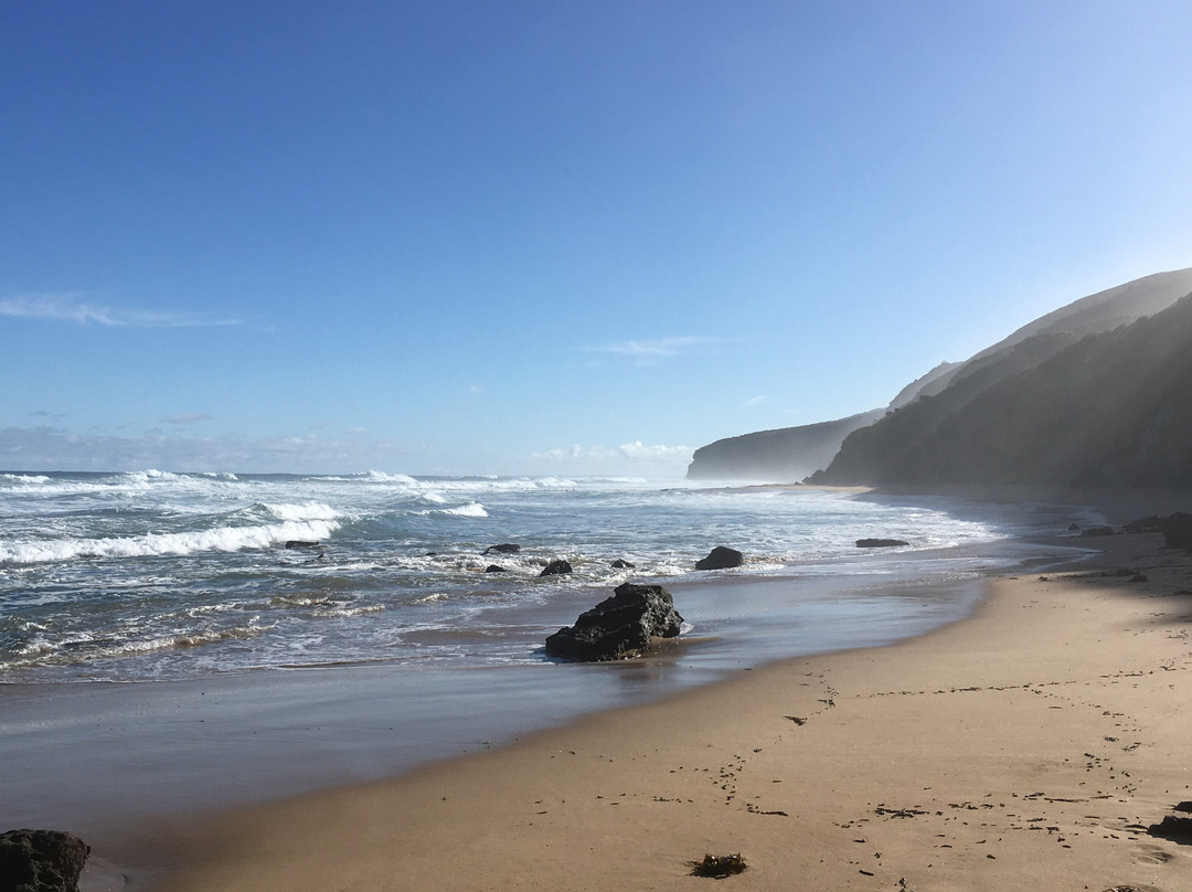 Wreck Beach景点图片
