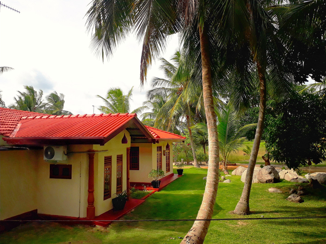 Leopard Cross Safary Tours Wilpattu - From Sapphire Base