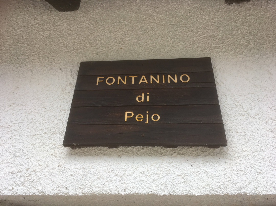 Fontanino di Pejo景点图片