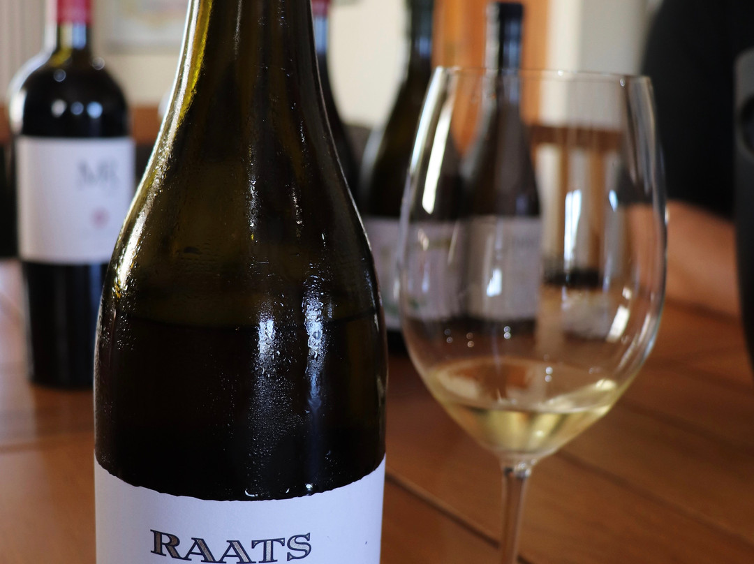 Raats Family Wines-斯泰伦博斯必去景点