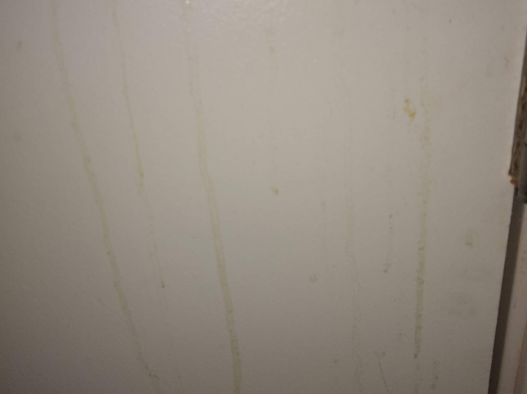 HOM Hotel Gainesville, SureStay Collection by Best Western主图