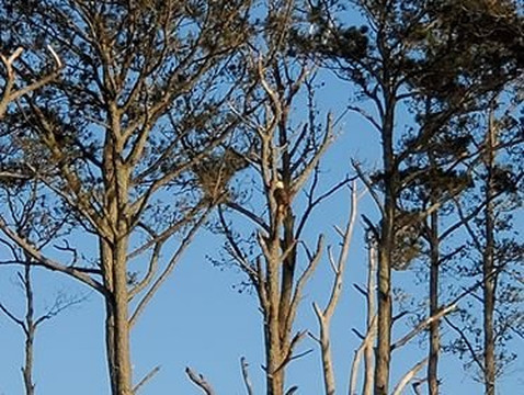 Proud Mary Charters-钦科蒂格岛必去景点