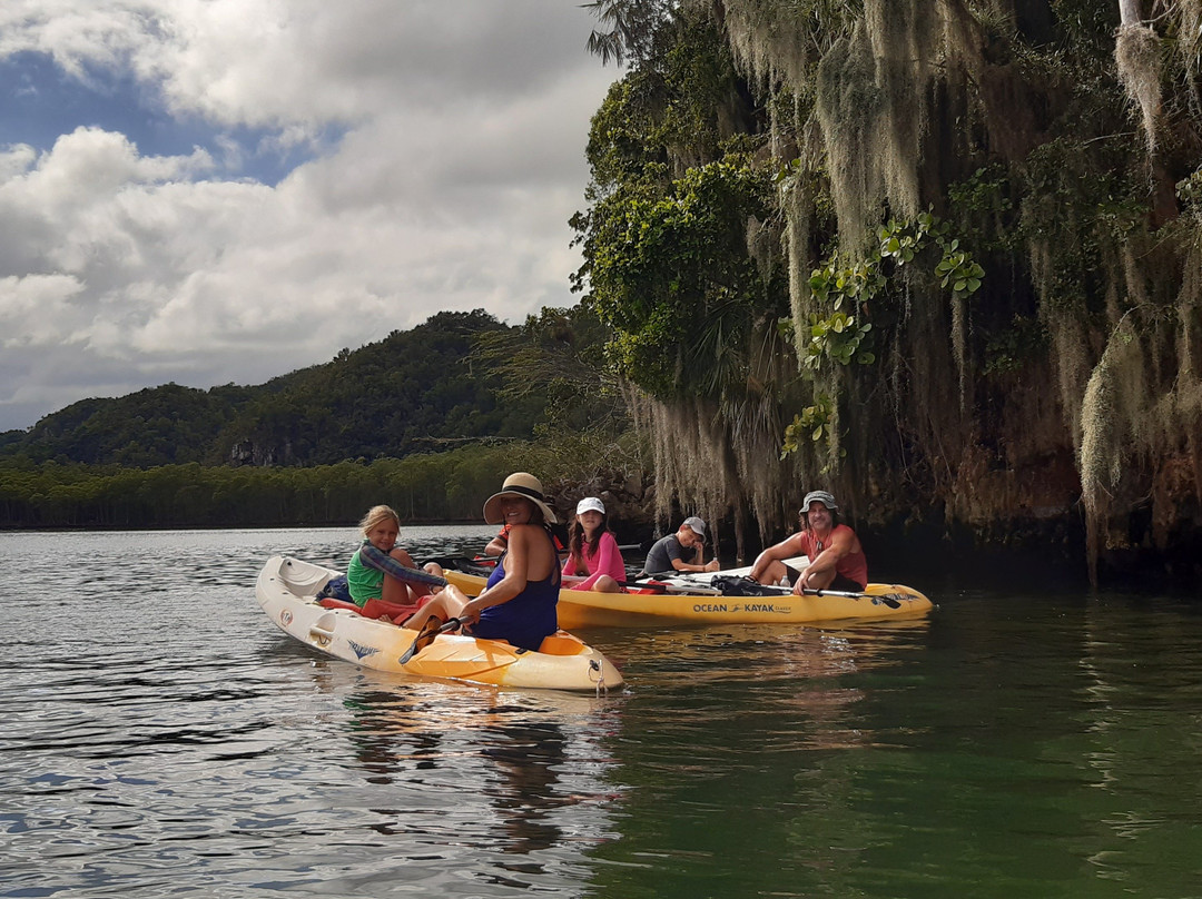 Whale Tours Samana-Sabana de la Mar必去景点