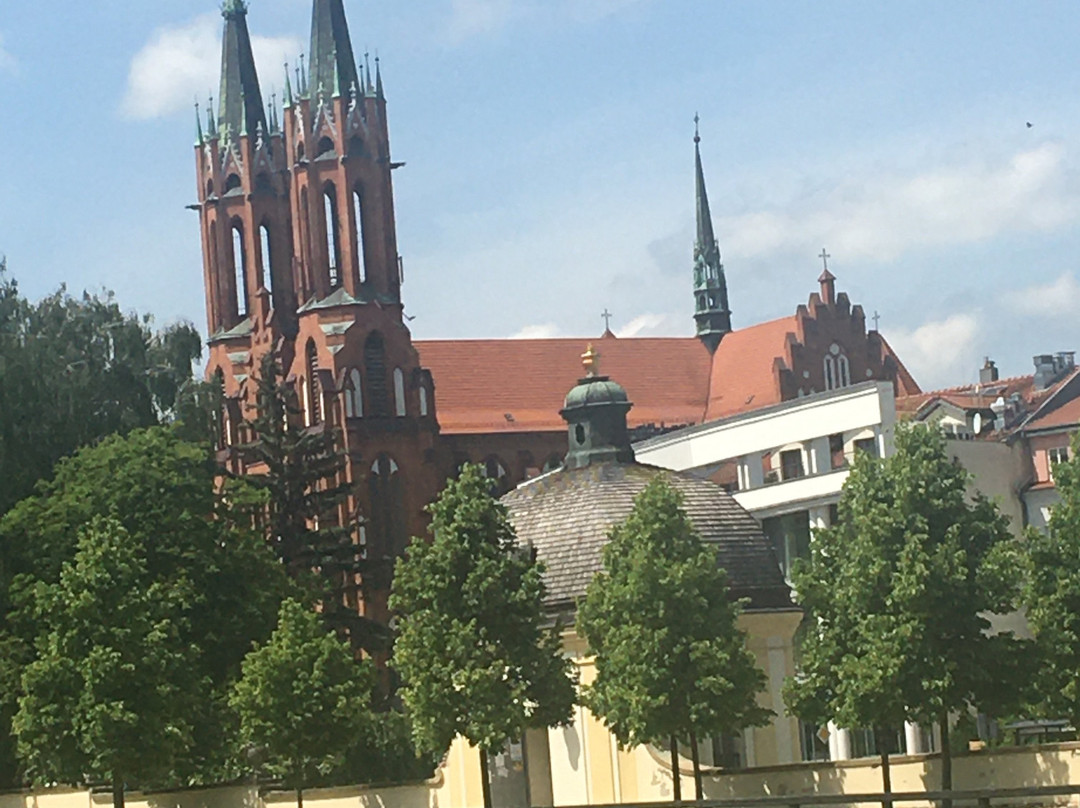 Cathedral Basilica of the Assumption of the Blessed Virgin Mary-比亚韦斯托克必去景点