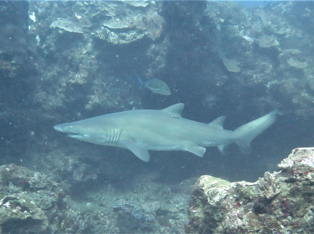 Twobar Scuba-索德瓦纳必去景点