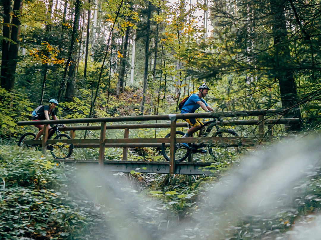 Salzbike-瓦兹必去景点
