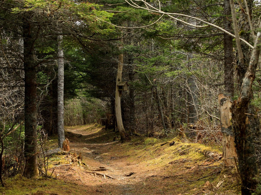 Chapel Gully Trail-Canso必去景点