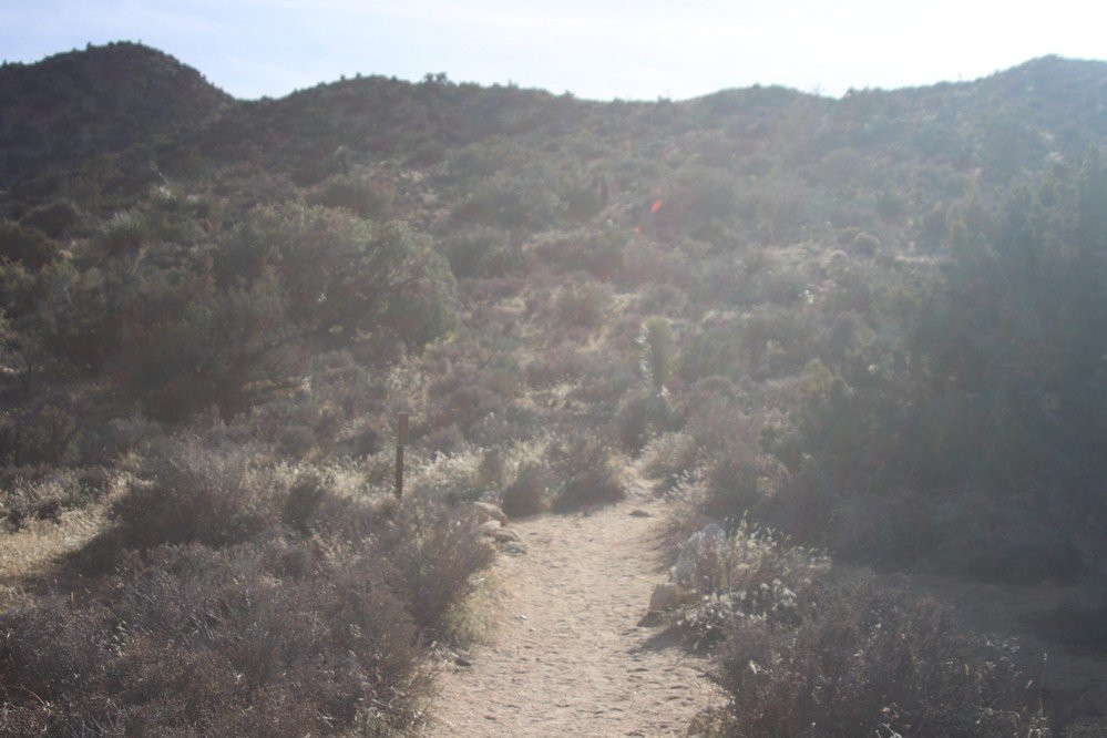 High View Nature Loop