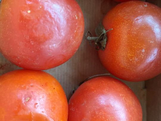 Fet a Soller Oficinas-索耶尔必去景点