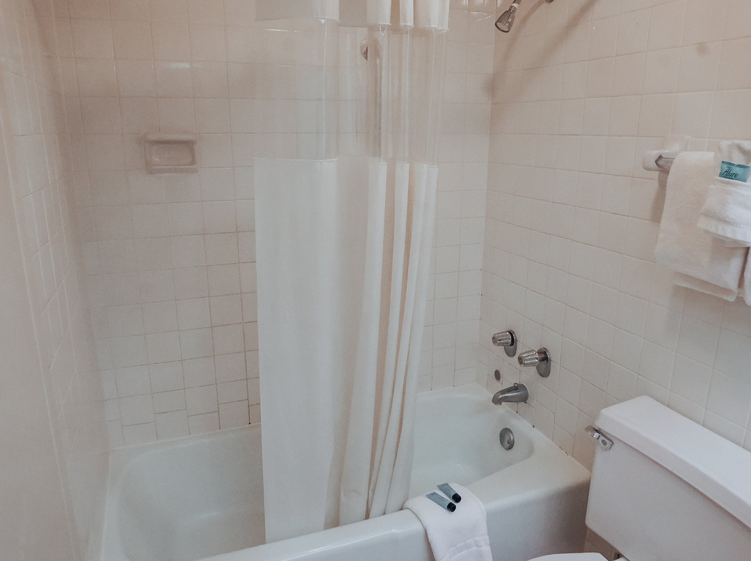 Lamplighter Inn & Suites North主图