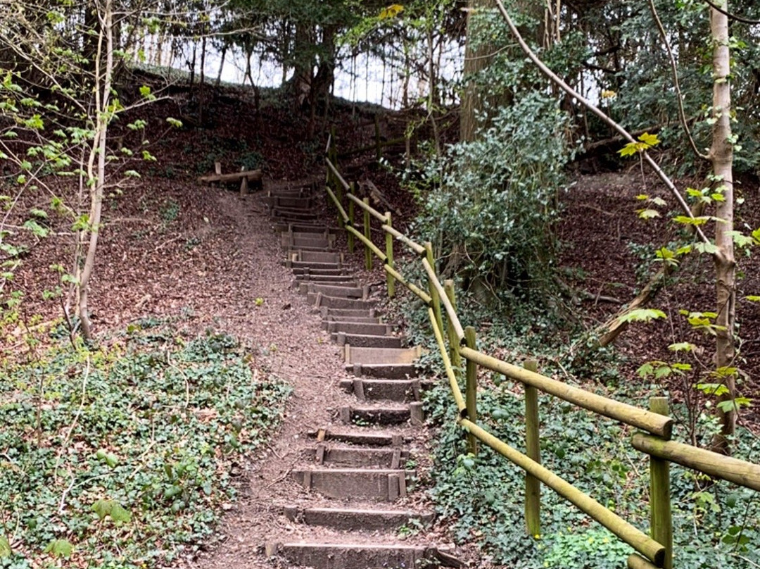 Reigate Hill景点图片