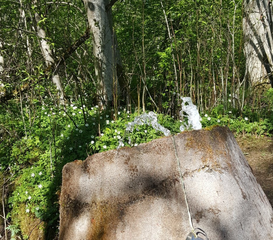 Saterdalens Folkpark-Sater必去景点