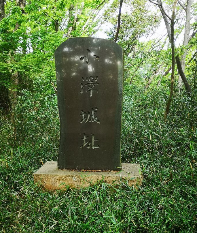 Ozawa Castle Ruin-稻城市必去景点