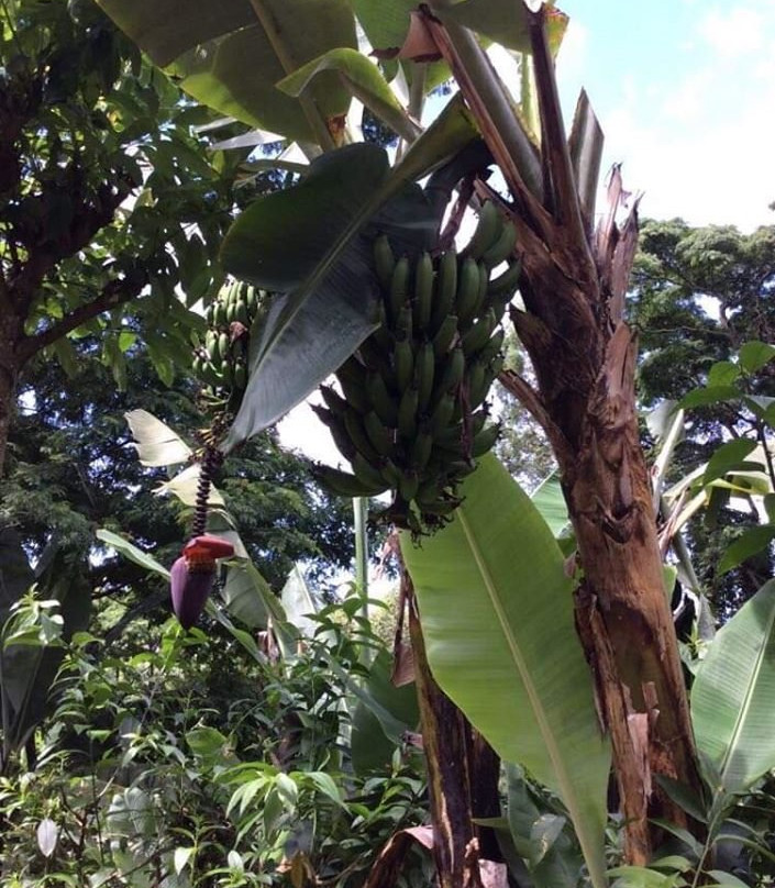 Materuni Waterfalls-Namro必去景点