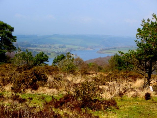 Dulverton Exmoor National Park Centre景点图片