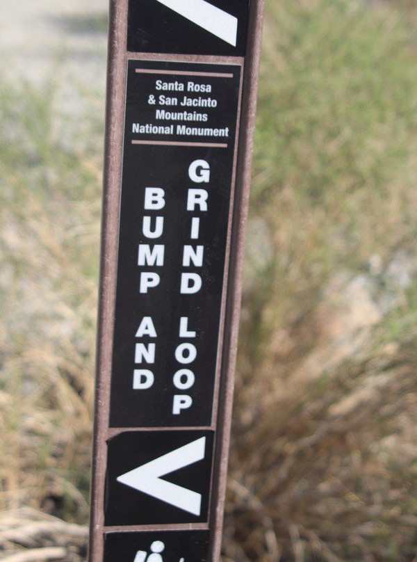 Bump and Grind Trail-棕榈沙漠必去景点