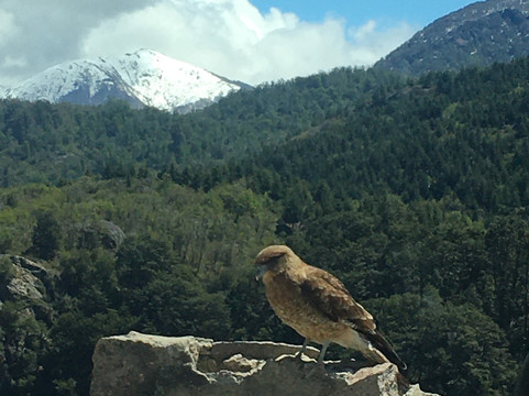 Cascada Vulignanco-圣马丁德洛斯安第斯必去景点