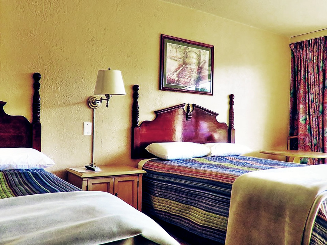 The Micanopy Inn主图