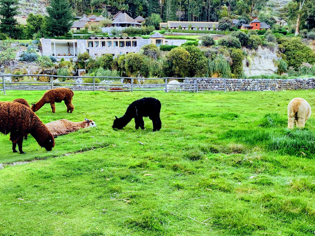 Colca Lodge Spa & Hot Springs主图