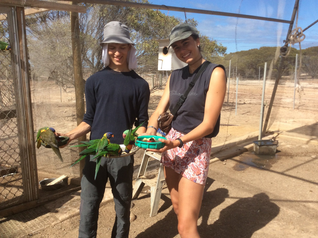 Elbenjo animal sanctuary-Northampton必去景点