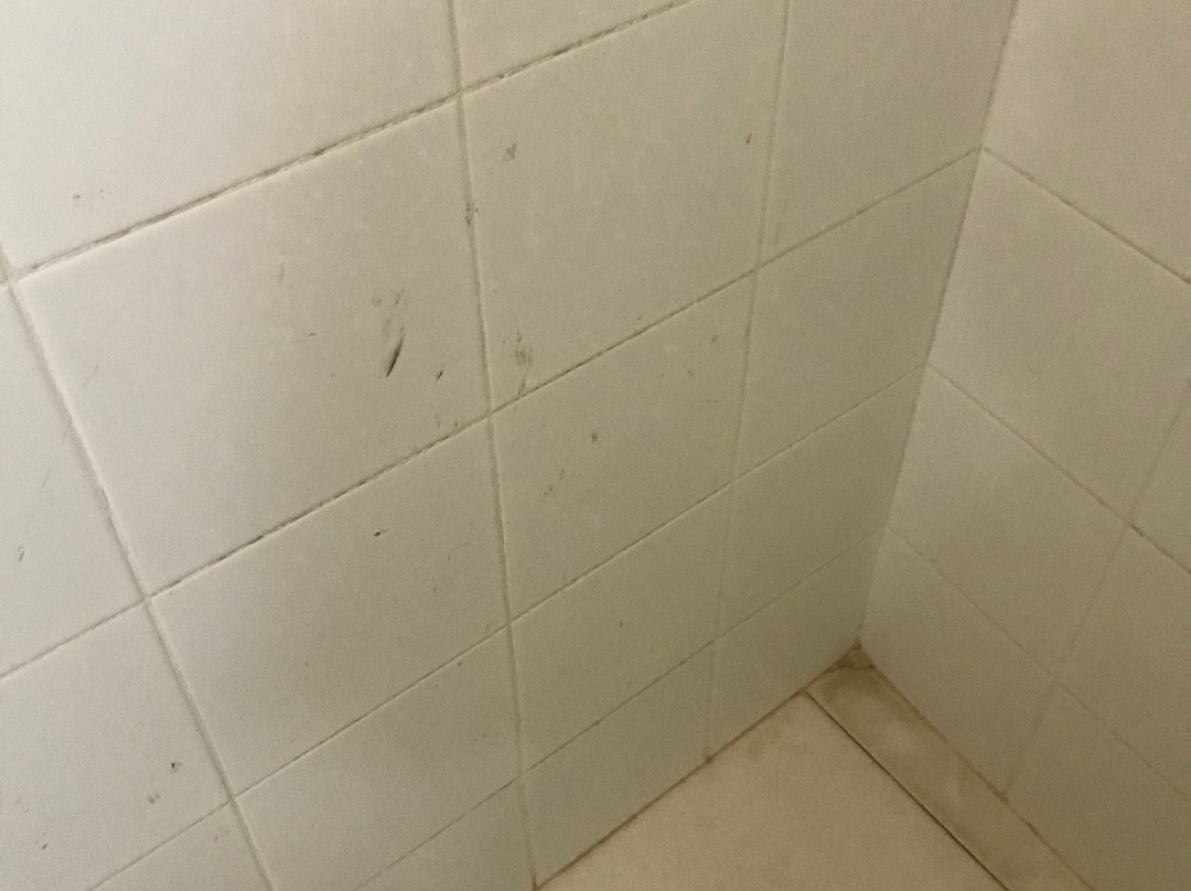 Hotel Camagüey Colón主图