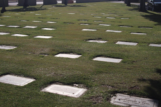 Desert Memorial Park-棕榈泉市必去景点