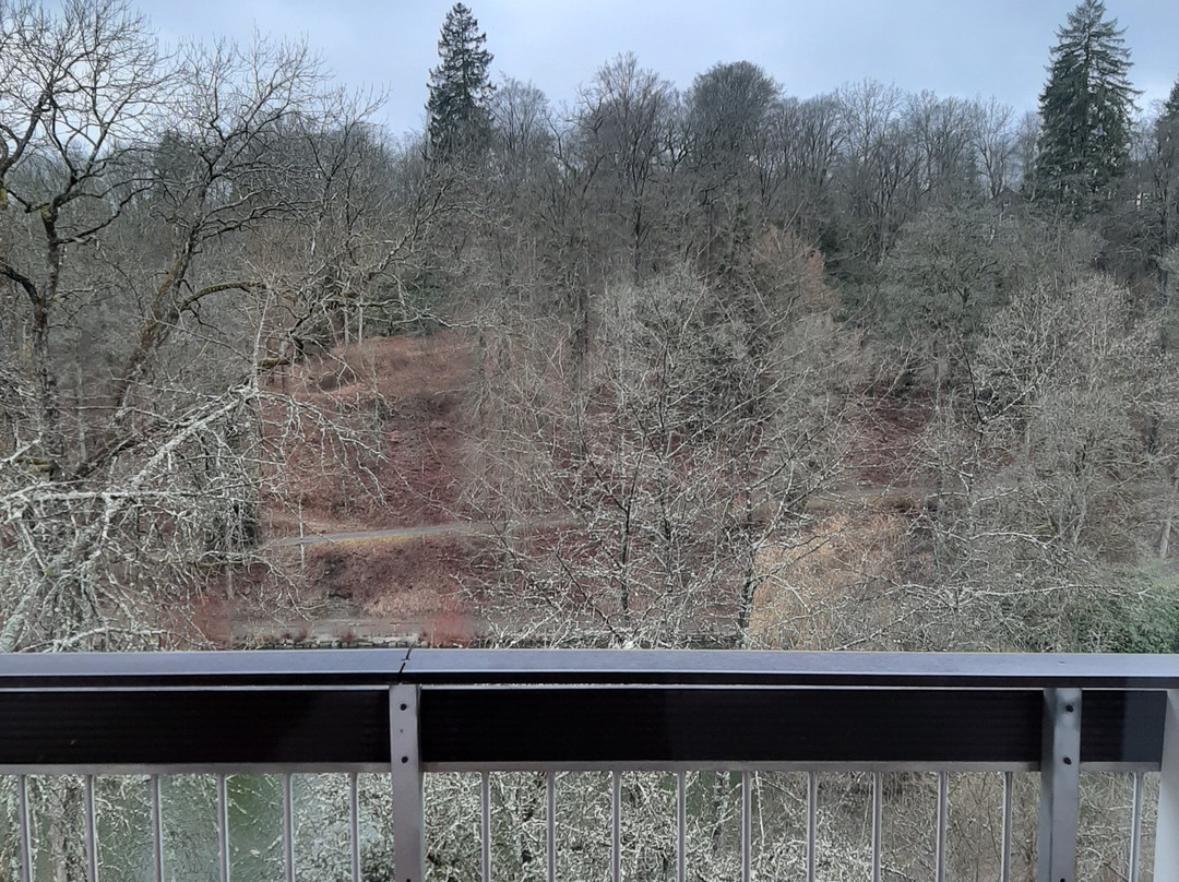 希彻勒阿尔特酒店主图