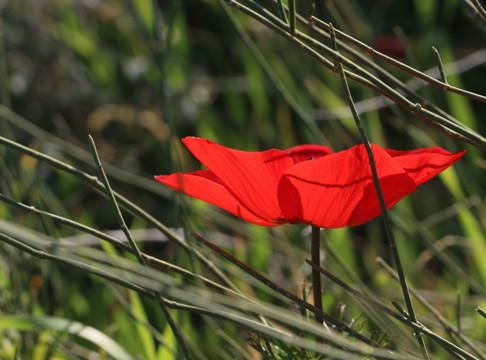 Pura Nature Reserve-贝尔谢巴必去景点