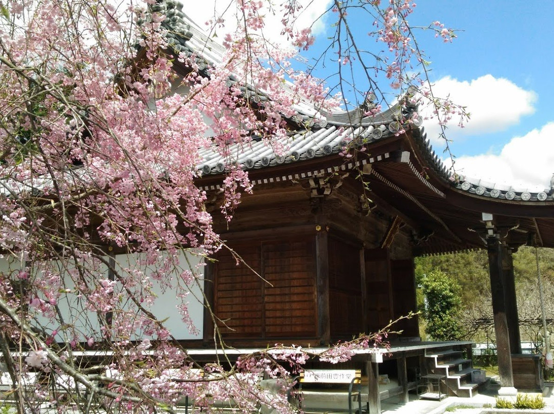Koyasujizoji Temple景点图片