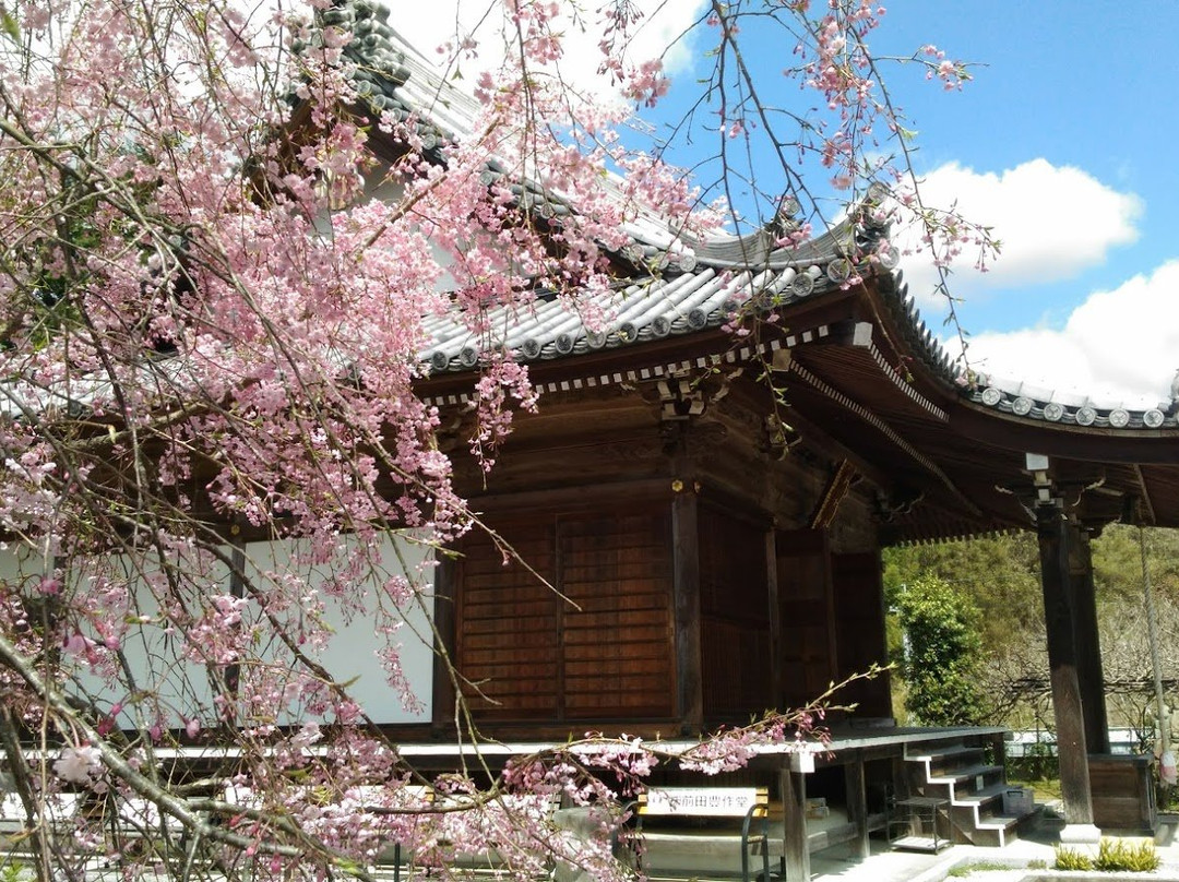 Koyasujizoji Temple-桥本市必去景点