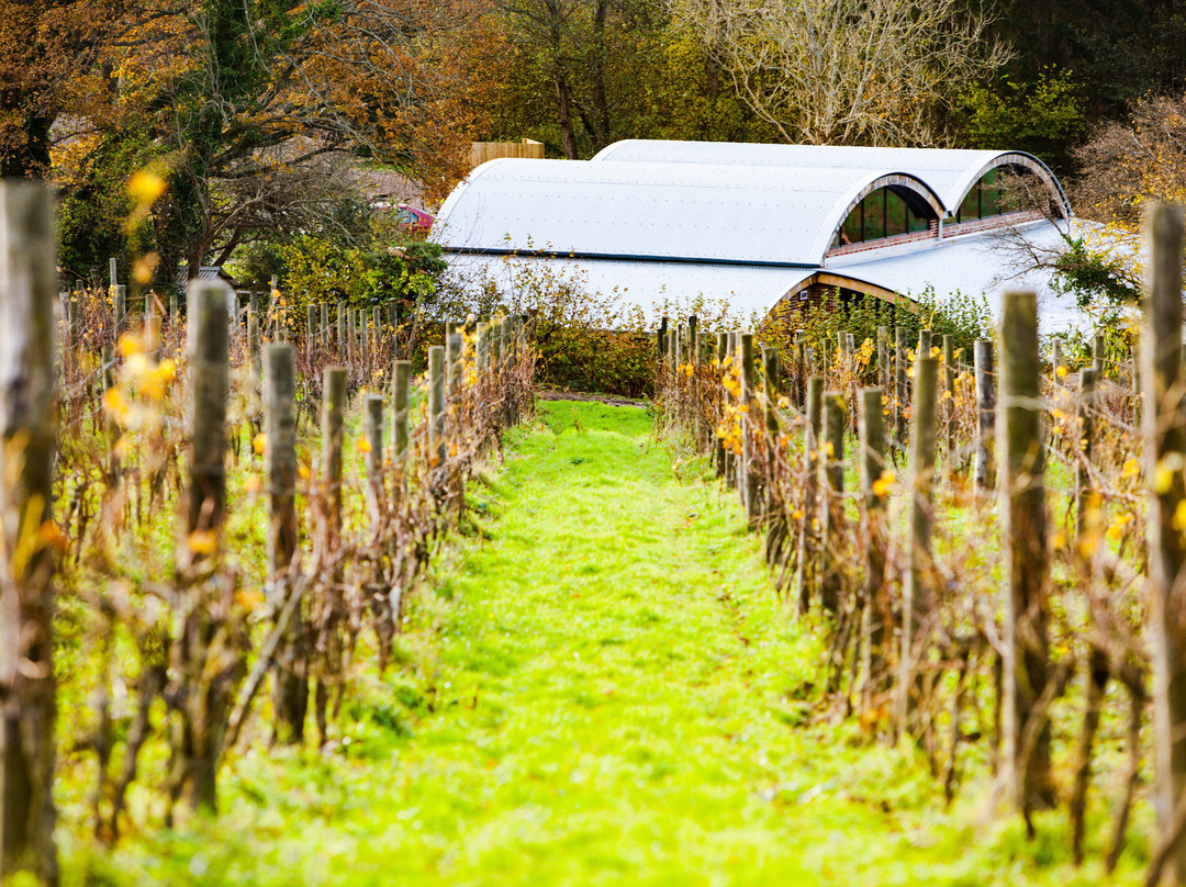 Sedlescombe Organic Vineyard景点图片