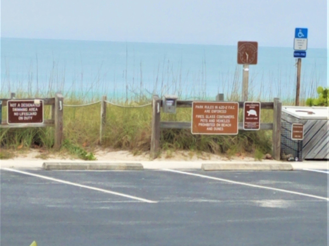 Avalon Beach Park景点图片