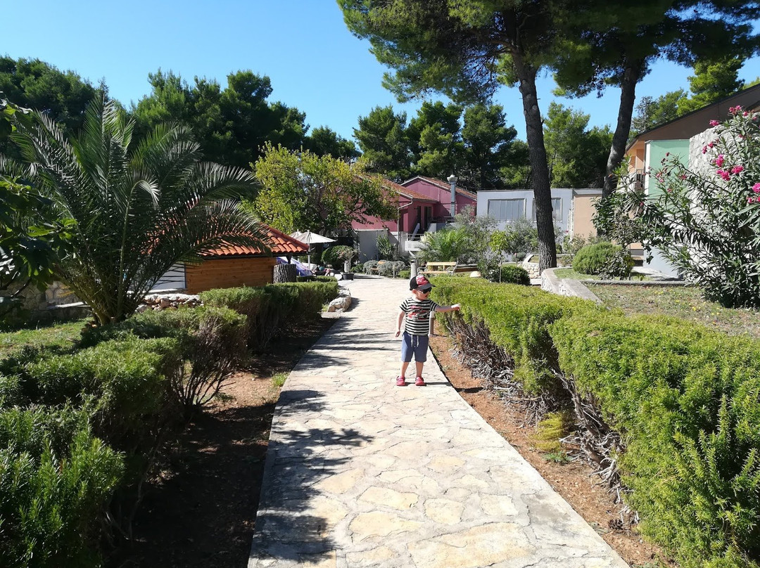 Matilde Beach Resort主图