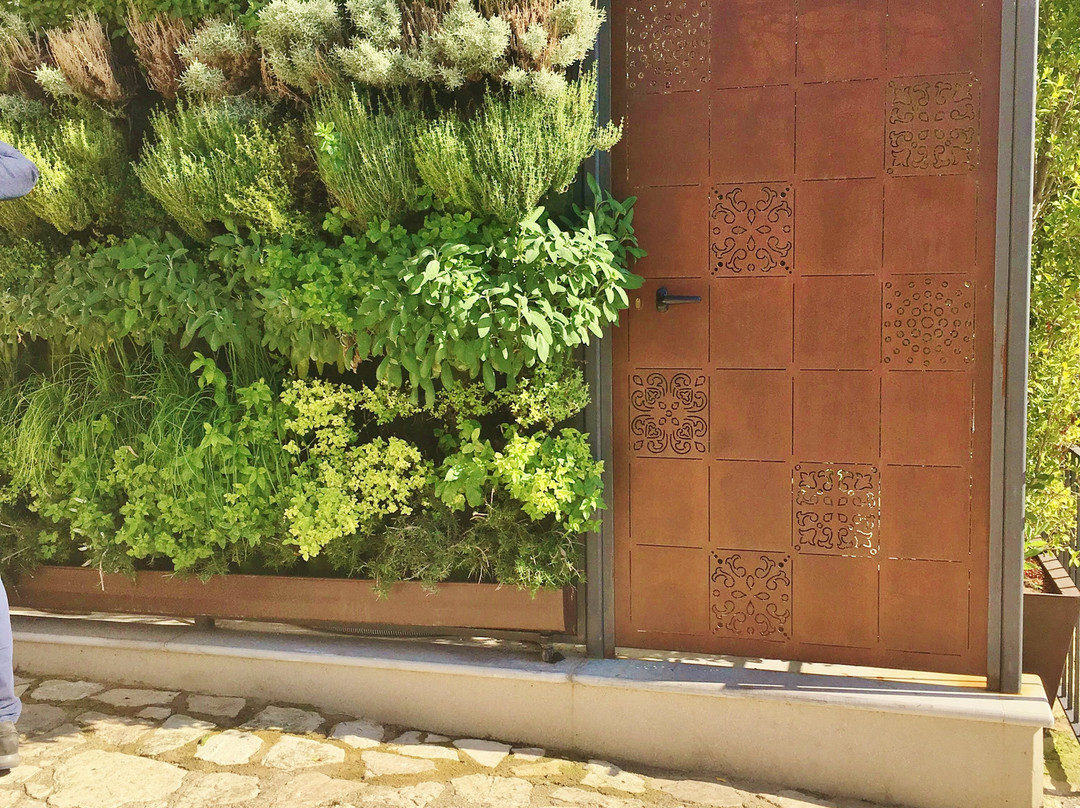 Villa Flora Relais主图