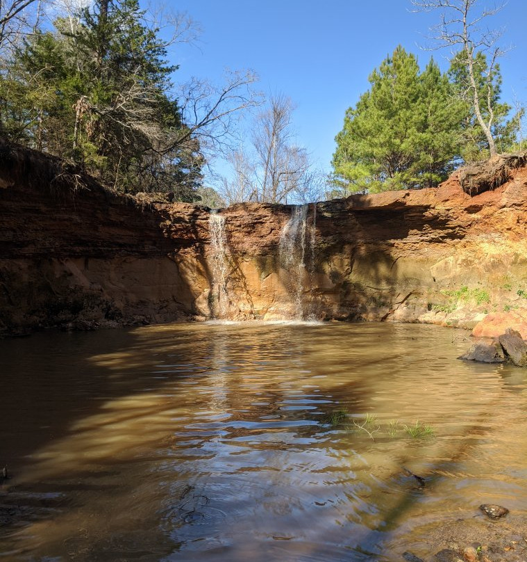 Wolf Creek Lake-Palestine必去景点