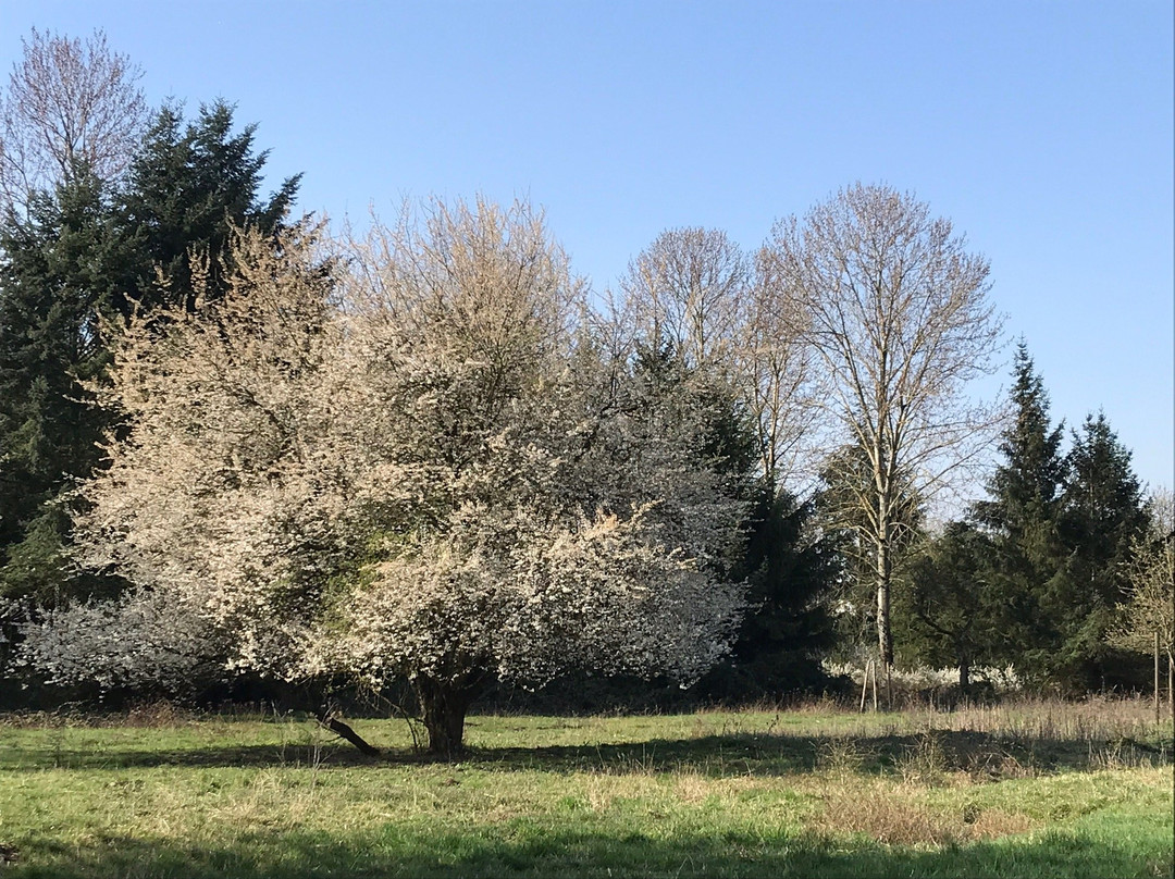Aboretum Main-Taunus-埃施博尔恩必去景点