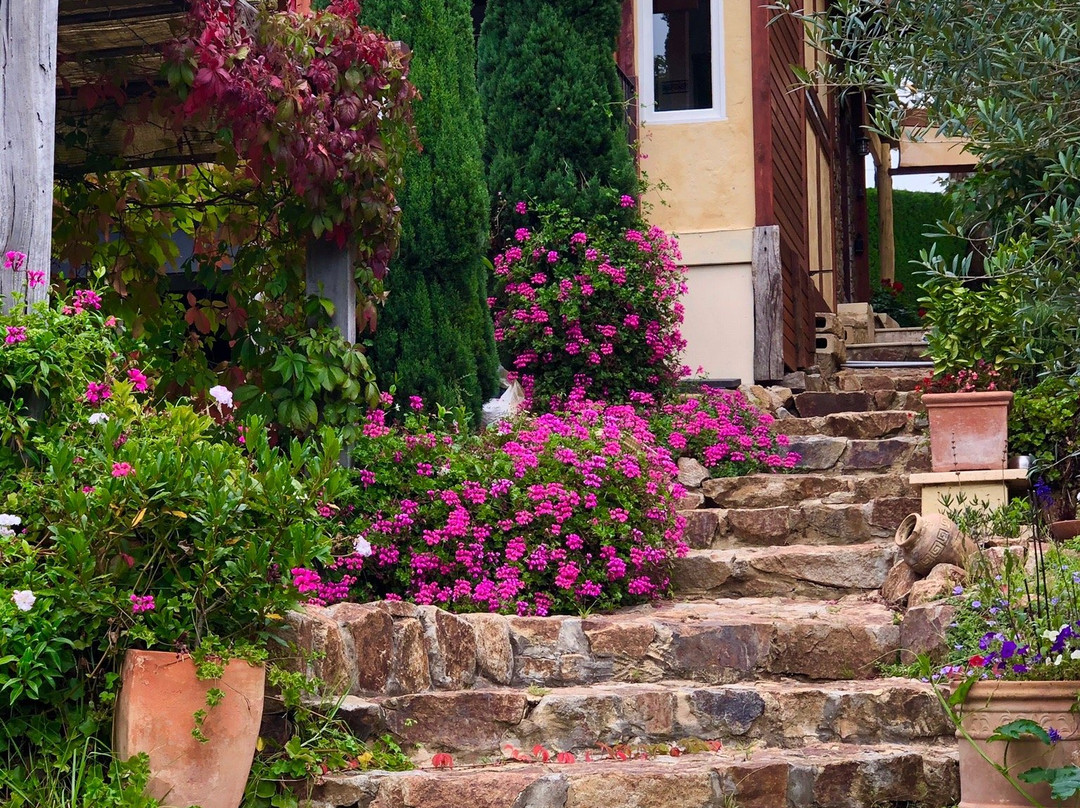 马洛卡别墅酒店主图