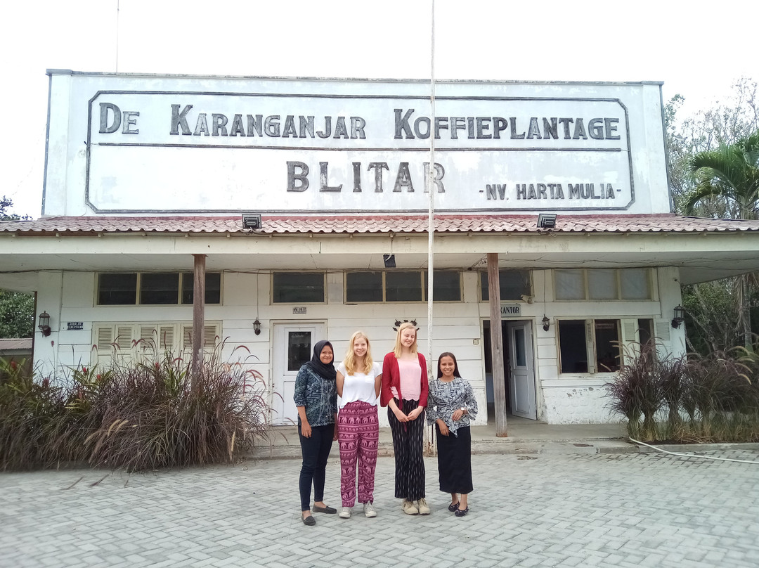 Karanganjar Coffee Plantation-勿里达必去景点