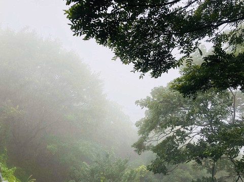 北高峰-杭州市必去景点