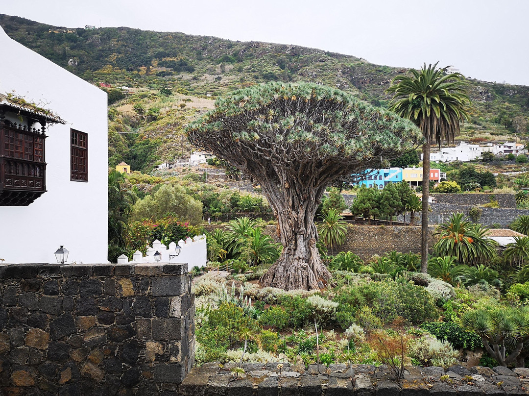 Tenerife Stars-特纳里夫必去景点